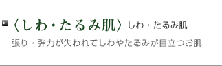 化粧品通販サイト/Bigi Heat ビギハート